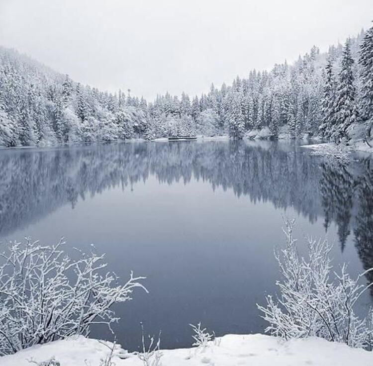 Лоджи Cottage Smerekova Hata Kelechin-6